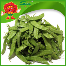 Yunnan High Quality Fresh Snow pea (frozen green peas)